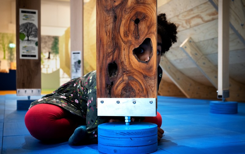 ZOOM Mitmachausstellung "ALLES HOLZ": ZOOM Mitmachausstellung "ALLES HOLZ"