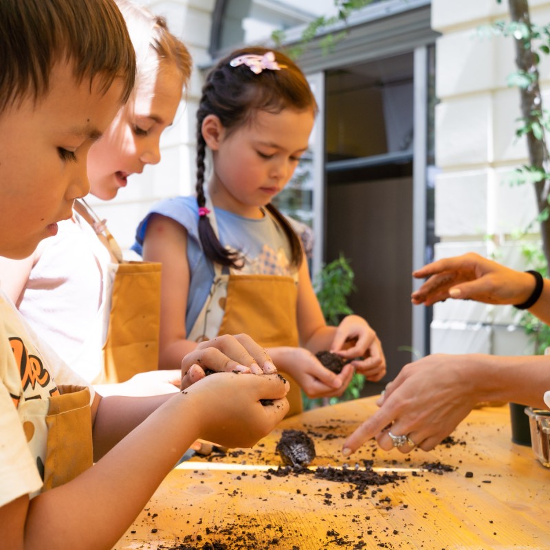 ZOOM Mitmachausstellung: Seedball