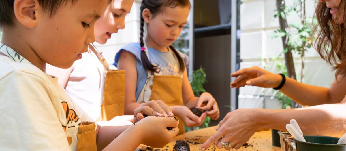 ZOOM Mitmachausstellung: Seedball