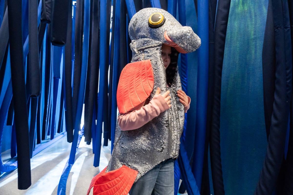 Donaurauschen & Flussgeflüster: Mitmachausstellung