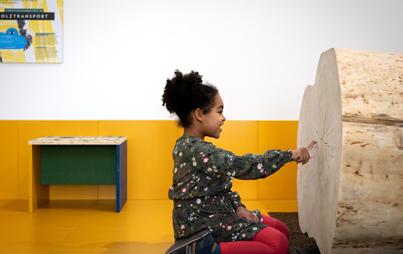 ZOOM Mitmachausstellung "ALLES HOLZ": ZOOM Mitmachausstellung "ALLES HOLZ"