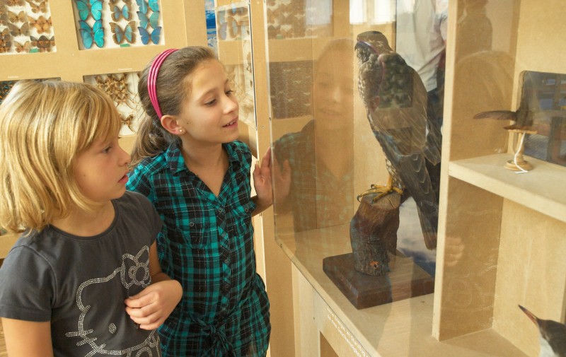 ZOOM Ausstellung „Es fliegt, es fliegt“ 3