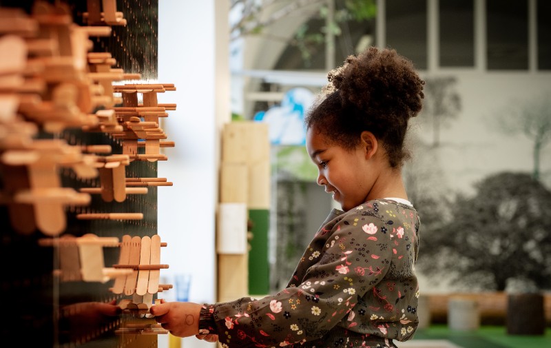 ZOOM Mitmachausstellung "ALLES HOLZ": ZOOM Mitmachausstellung "ALLES HOLZ"