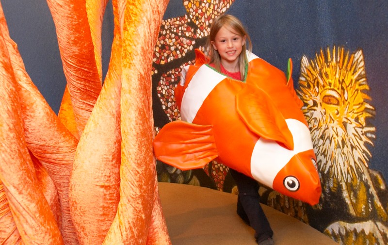ZOOM Ausstellung „himmelrot zitronenblau“ 12
