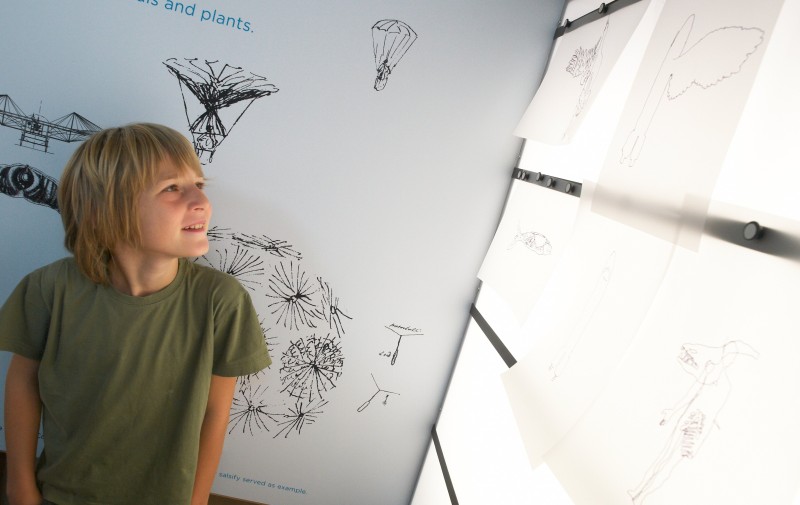 ZOOM Ausstellung „Es fliegt, es fliegt“ 4